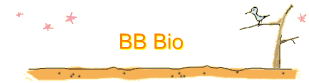 BB Bio