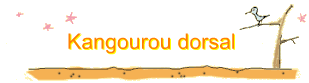 Kangourou dorsal